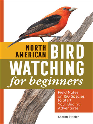 cover image of North American Bird Watching for Beginners